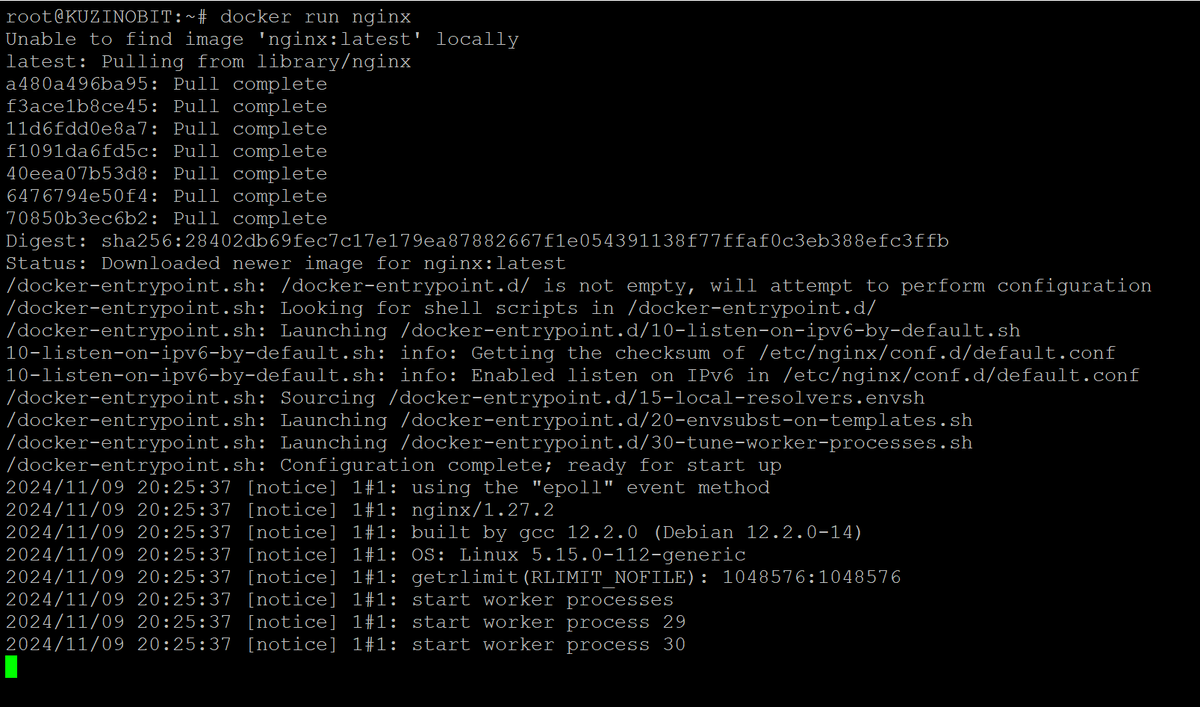Пример запуска контейнера на основе образа nginx.