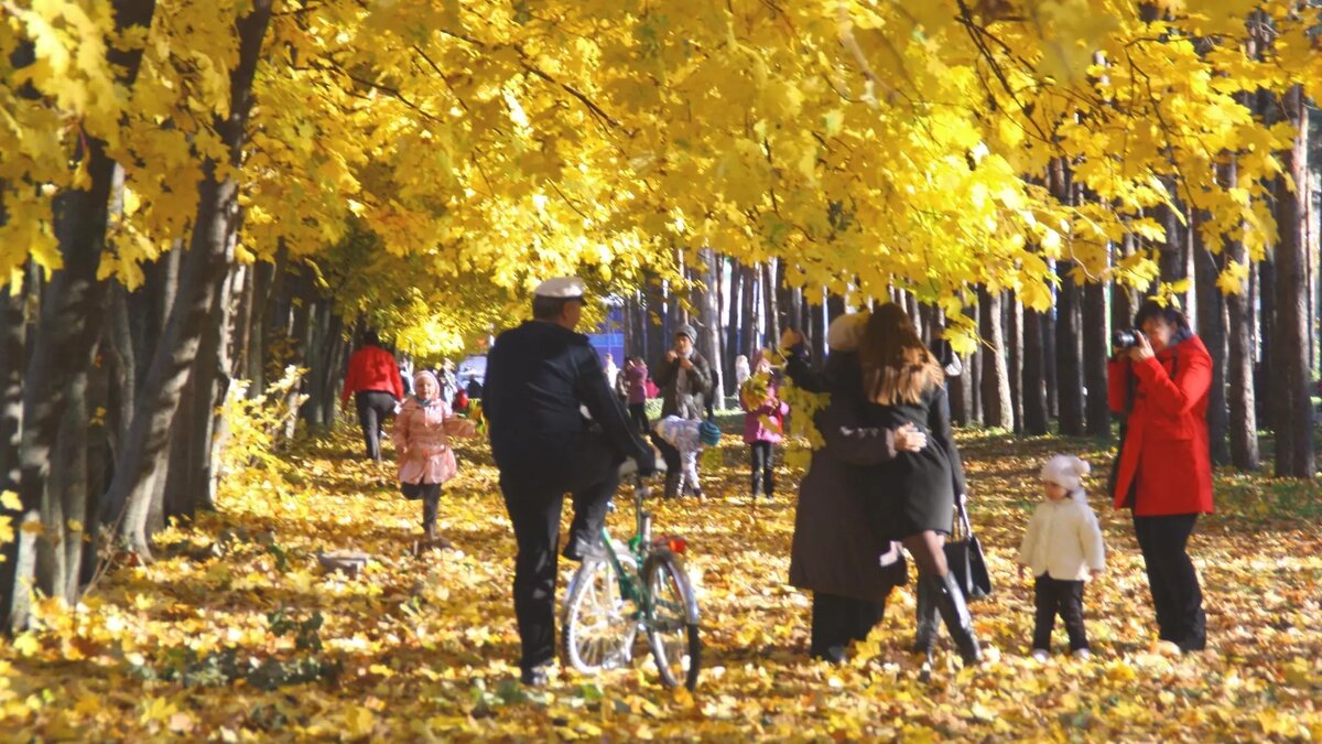     Источник: mkset.ru