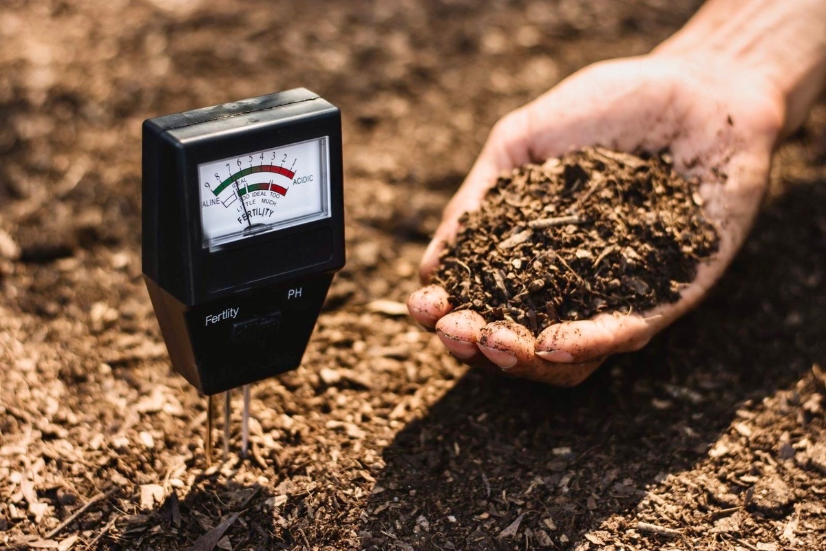 фото: https://in.pinterest.com/pin/how-to-adjust-your-soil-ph-naturally--322218548353200828/&lt;img src="https://img1.teletype.in/files/c0/c0/c0c04fd5-fc85-449a-9068-5a175ddd33b7.jpeg" itemprop="contentUrl"&gt;