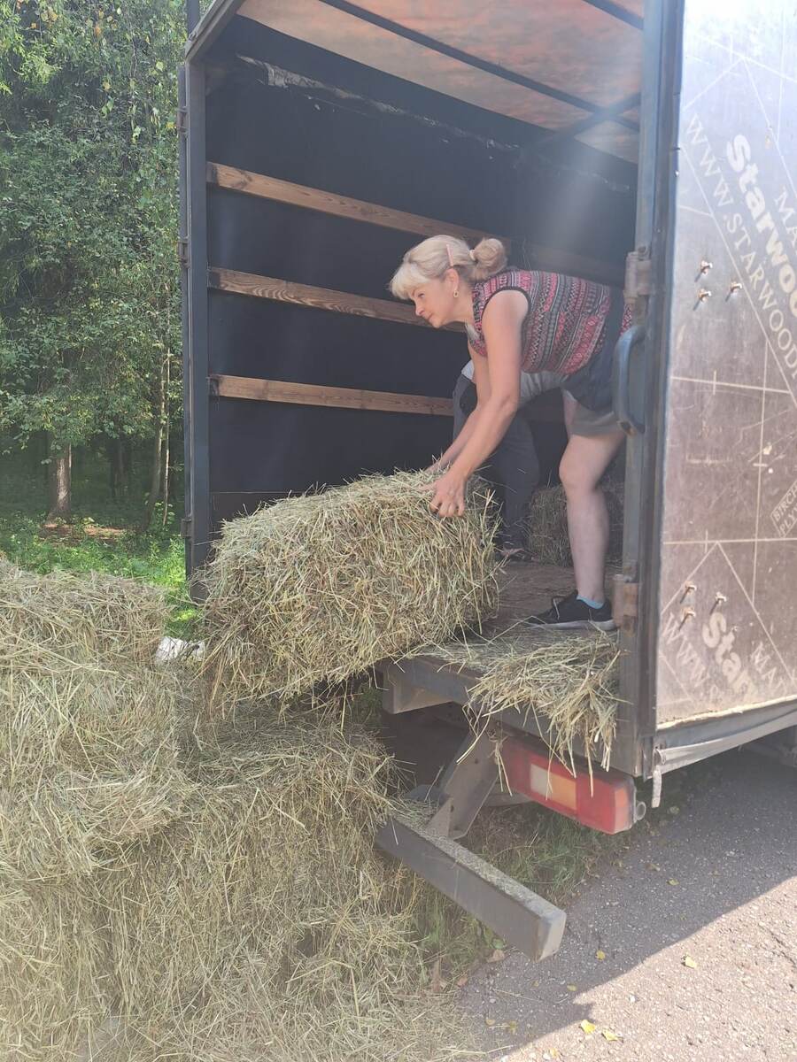 Разгружаю 5-тонную машину с сеном...