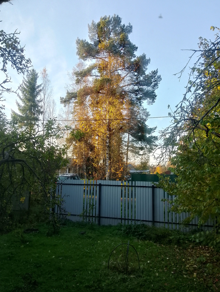 Суббота 12.10.2024