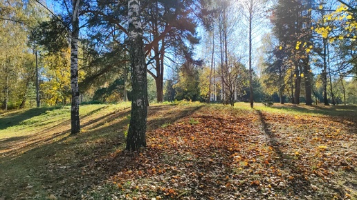 Сррмовский парк в городе Н. Н. 14.10.24