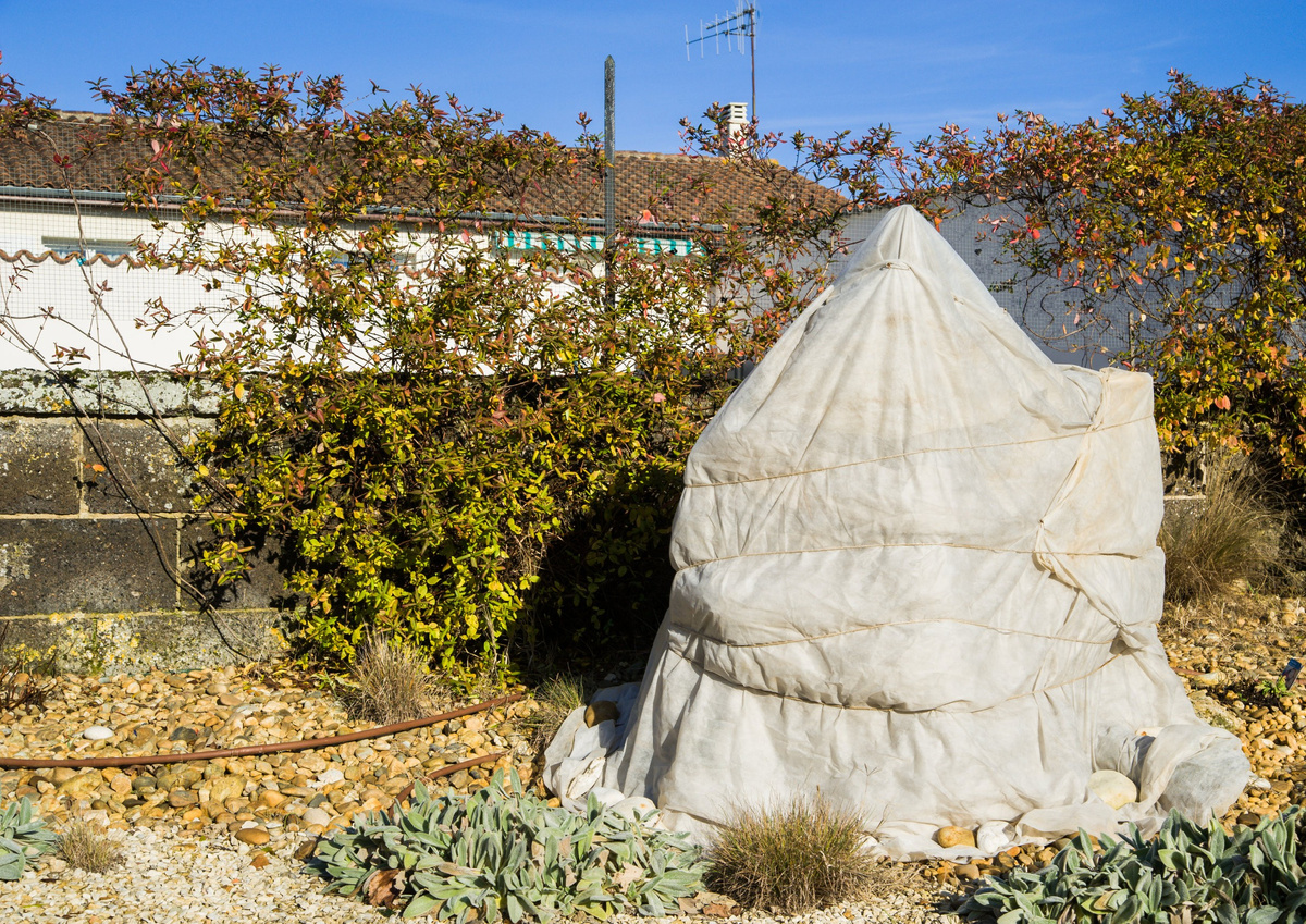Некоторые растения в саду нуждаются в укрытии, вы можете сделать это с помощью агроволокна, специальных пленок или мешковины