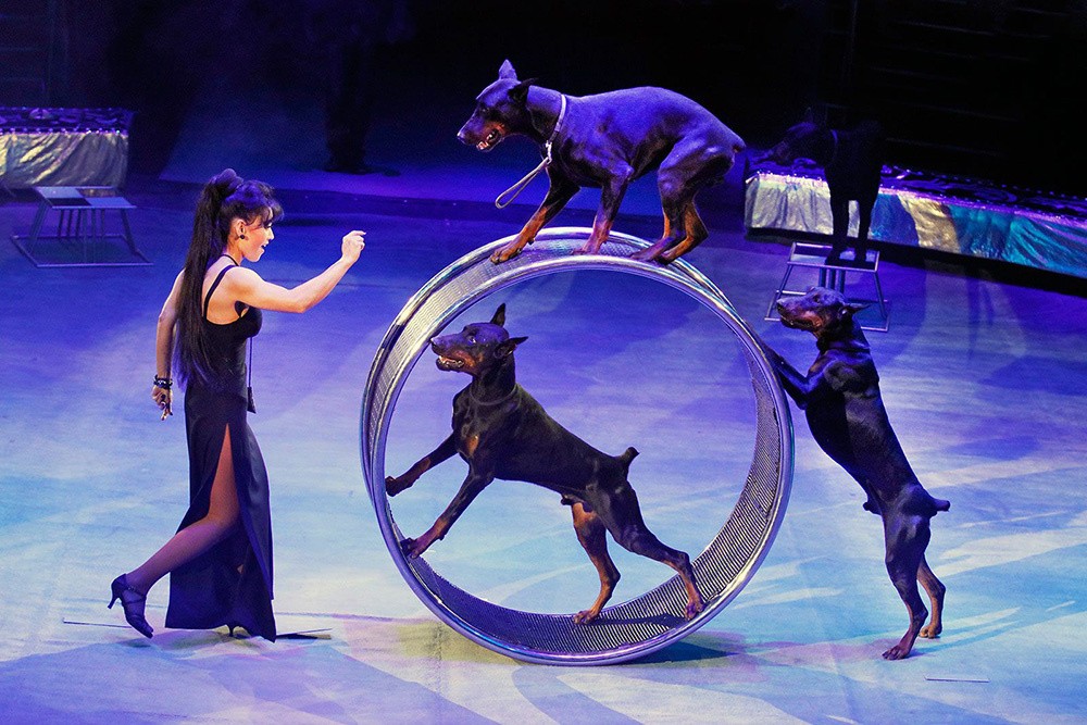    © Пресс-служба Мэра и Правительства Москвы 