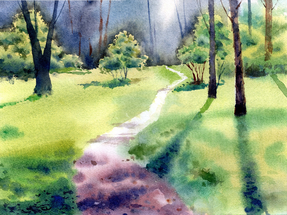 Тропинка в ботсаду