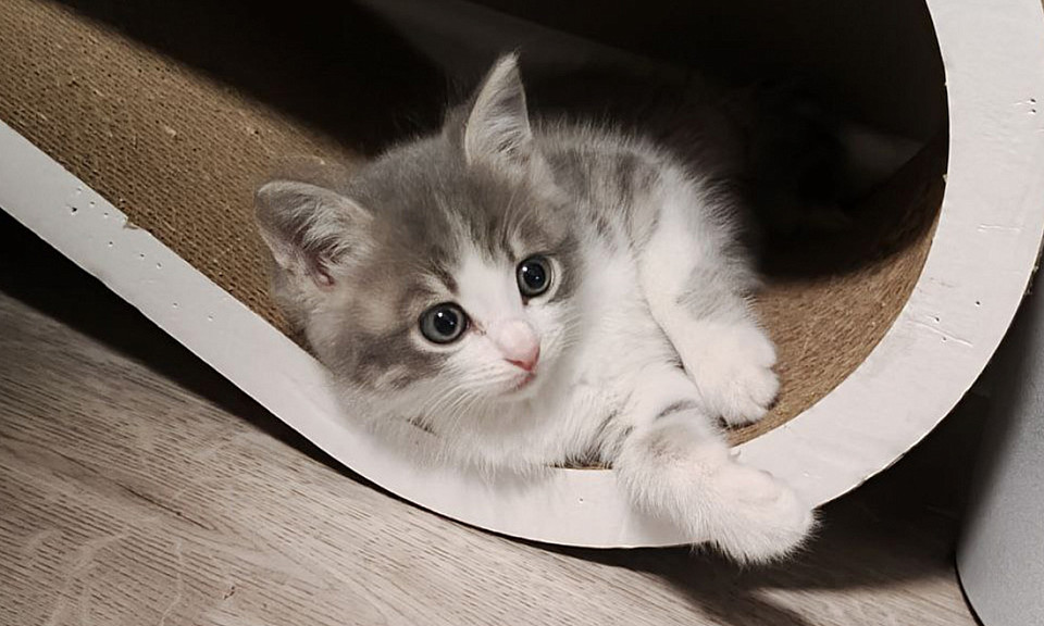 Фото Анастасии Николаевой – Горсайт