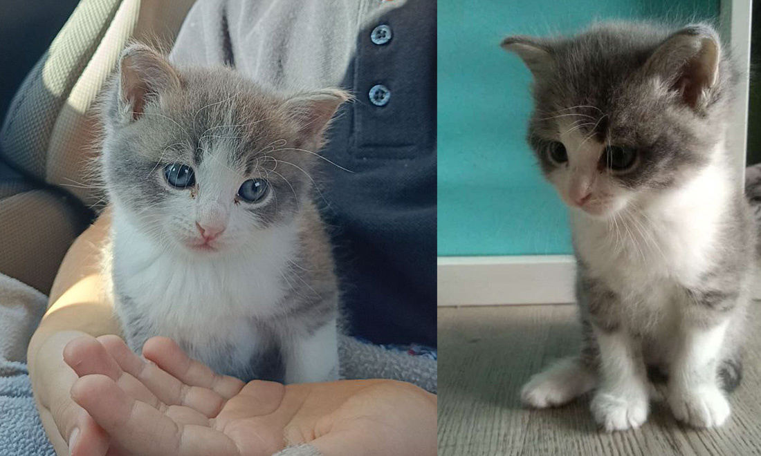 Фото Анастасии Николаевой – Горсайт