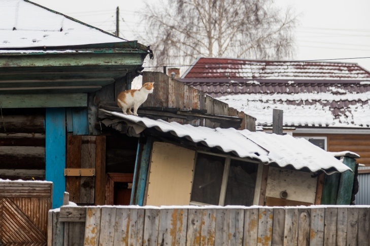    Фото Андрея Заржецкого