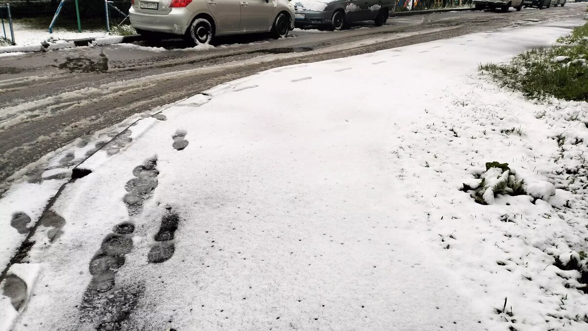     Источник: 1MI