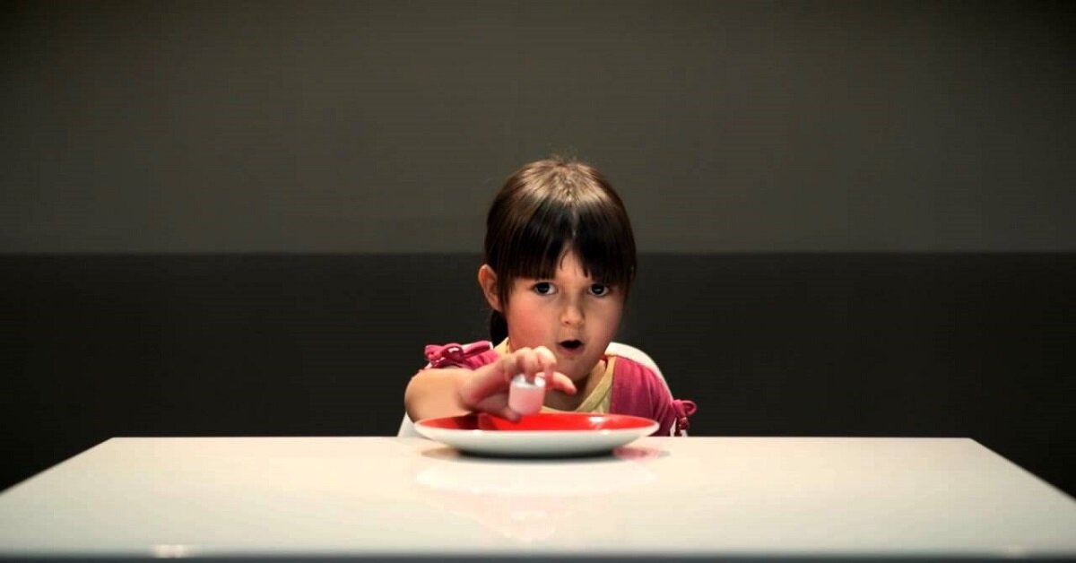 Зефирный эксперимент (англ. Stanford marshmallow experiment) — серия исследований отсроченного удовольствия, в которых детям предлагали выбор между одним небольшим вознаграждением, предоставляемым немедленно, и увеличением награды вдвое, если они смогут терпеливо ждать её в течение короткого периода, во время которого экспериментатор покинул комнату, чтобы вернуться после ожидания. 