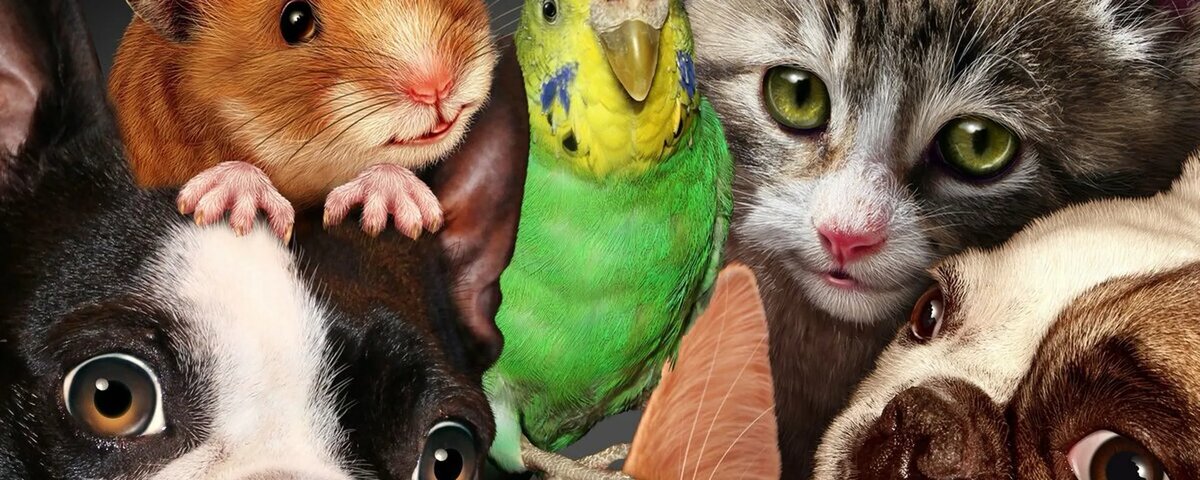 фото из интернета