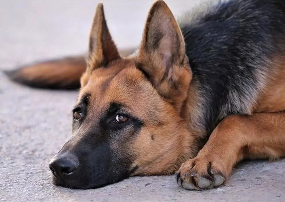 фото из интернета