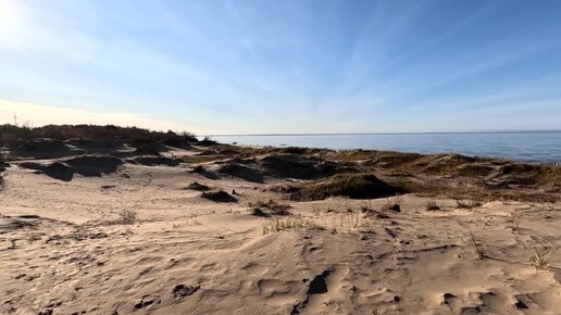 Белое море. Дюны. Сосны