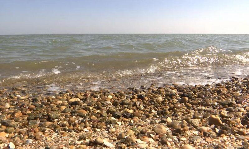    Видео канала «Кубань 24»