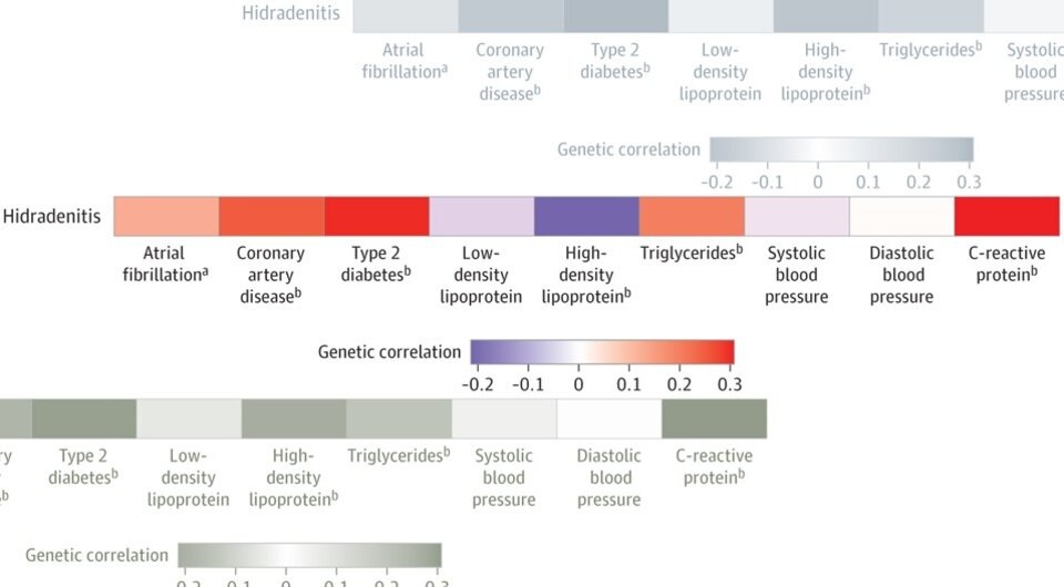   Valdemar Wendelboe Nielsen et al. / JAMA Dermatology, 2024