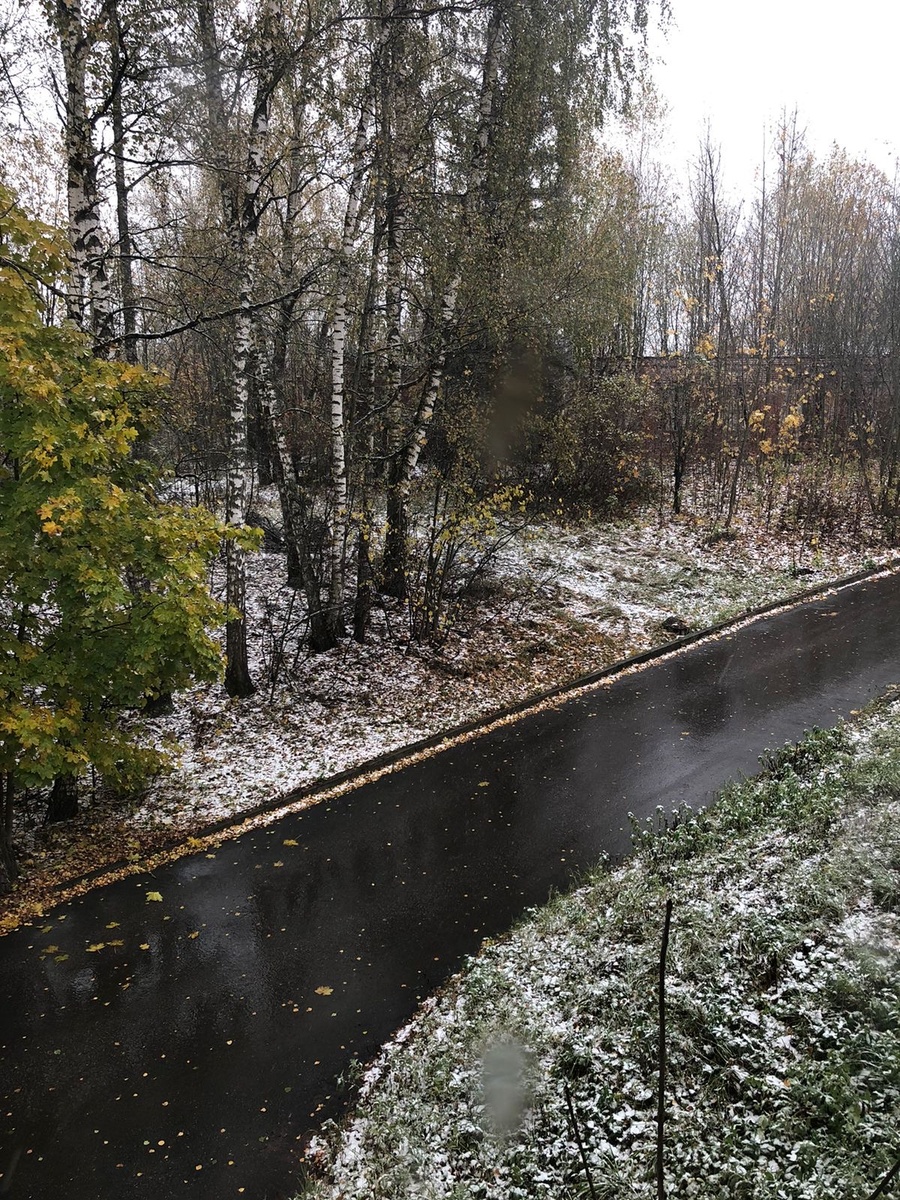Подмосковье сегодня🥶 в Анапе же плюс 20 и солнце