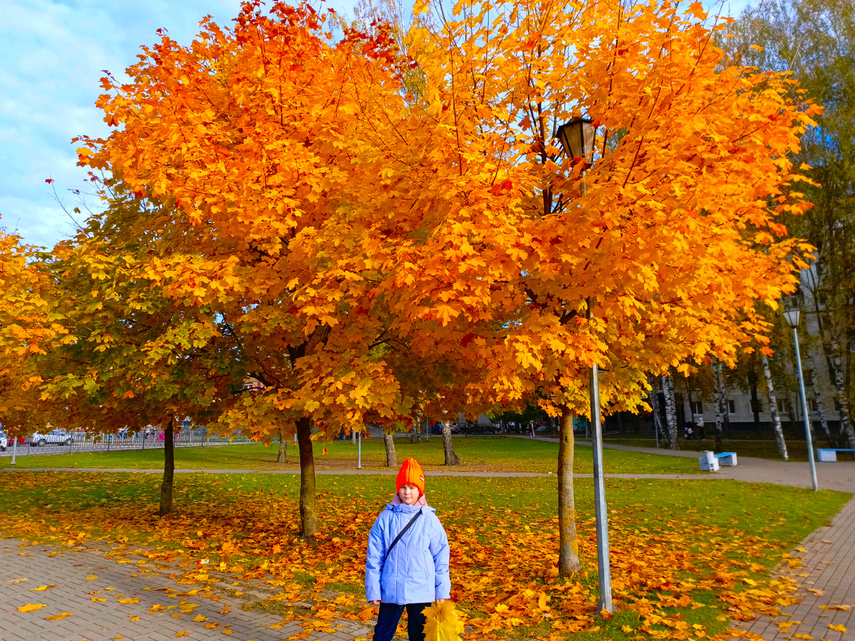 Осень в Конаково. Все фото в статье - автора