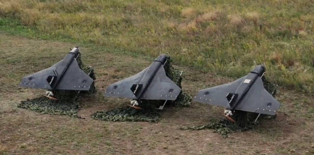 "Герберы" Источник фото: агентство ANNA NEWS