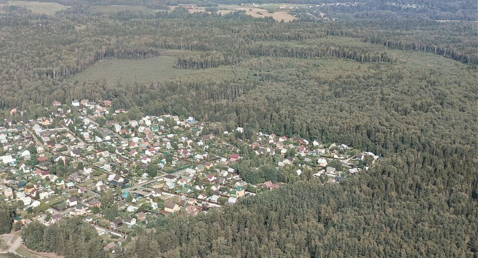    Комитет лесного хозяйства МО