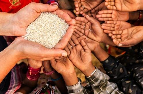 Фото с сайта tribuneindia.com