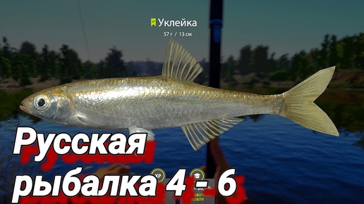 Russian Fishing 4 # 6 ( оз. Комариное - Уклейка? Сюда! )