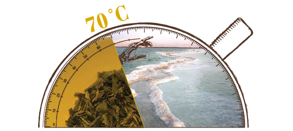Если заваривать зеленый чай температурой больше 70°, то он будет довольно сильно горчить. Кто-то говорит, что это напоминает горечь воды из Мертвого моря.