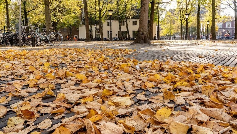Источник: Freepik