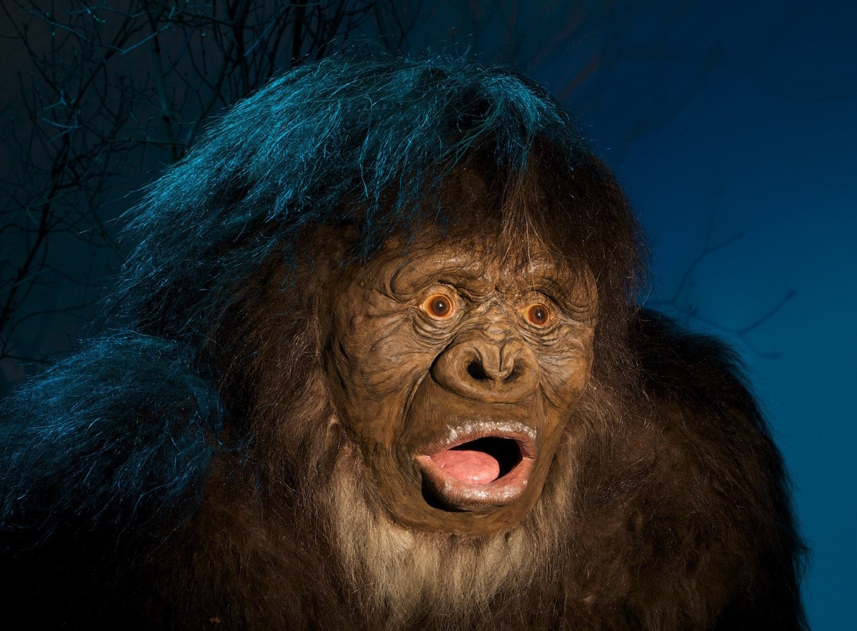 "Человек с острой грудью", как говорят в Дагестане. (Фото: gagaru.club).