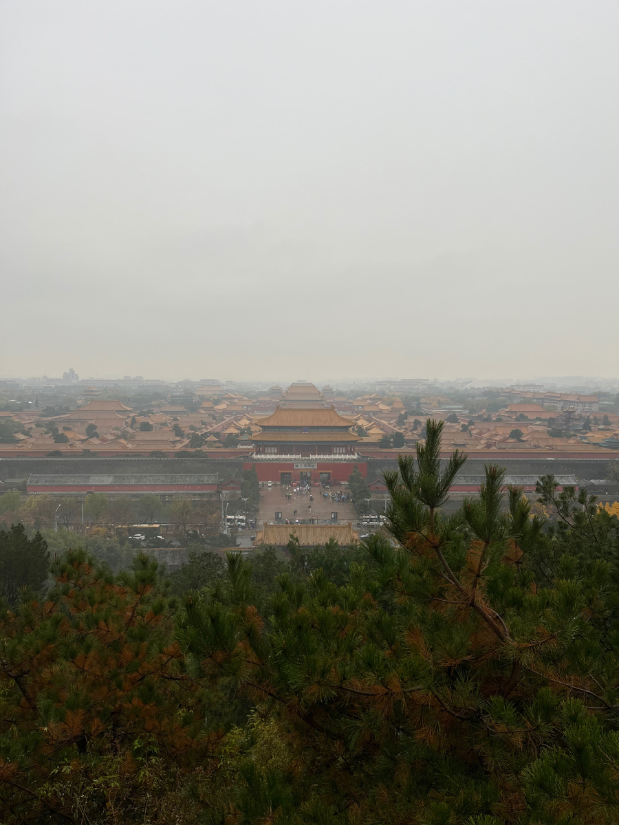 Запретный город, ноябрь 2024г. 