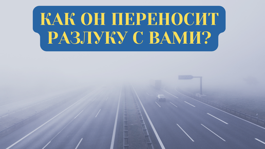 КАК ОН ПЕРЕНОСИТ РАЗЛУКУ С ВАМИ?