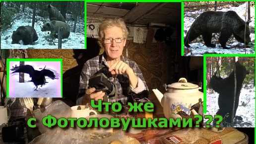 Что случилось с Фотоловушками???