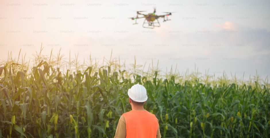 Фото: Getty Images/unsplash