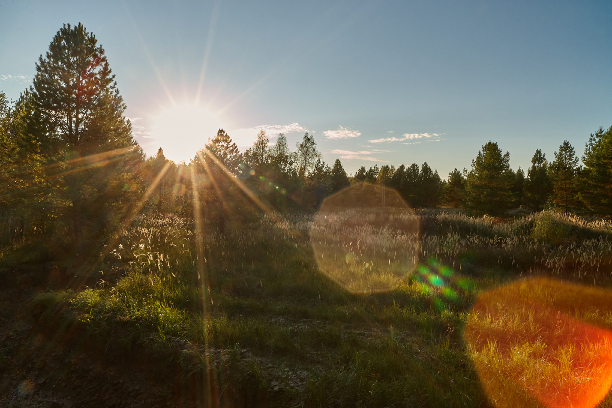 25.09.2024 г., Canon EOS 1Ds Mark III, Carl Zeiss Distagon 2.8/21 ZE T*