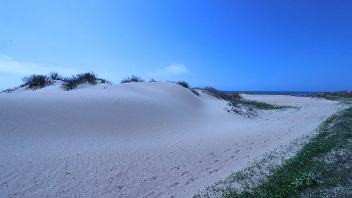 Фото: пресс-служба администрации Анапы. 