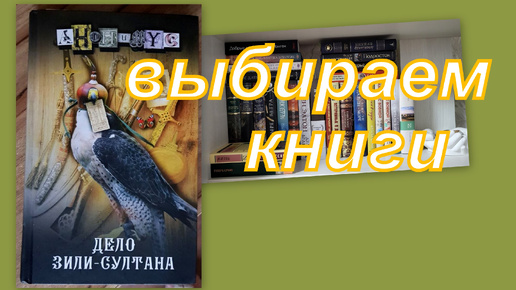 Descargar video: ВЫБИРАЕМ КНИГИ НА ЧТЕНИЕ!