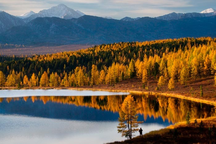 Изображение взято из открытого источника сети Интернет