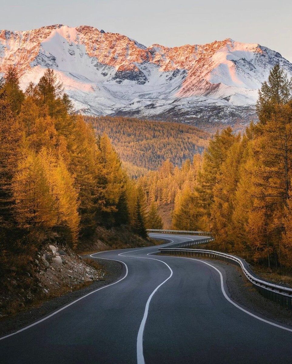 Изображение взято из открытого источника сети Интернет