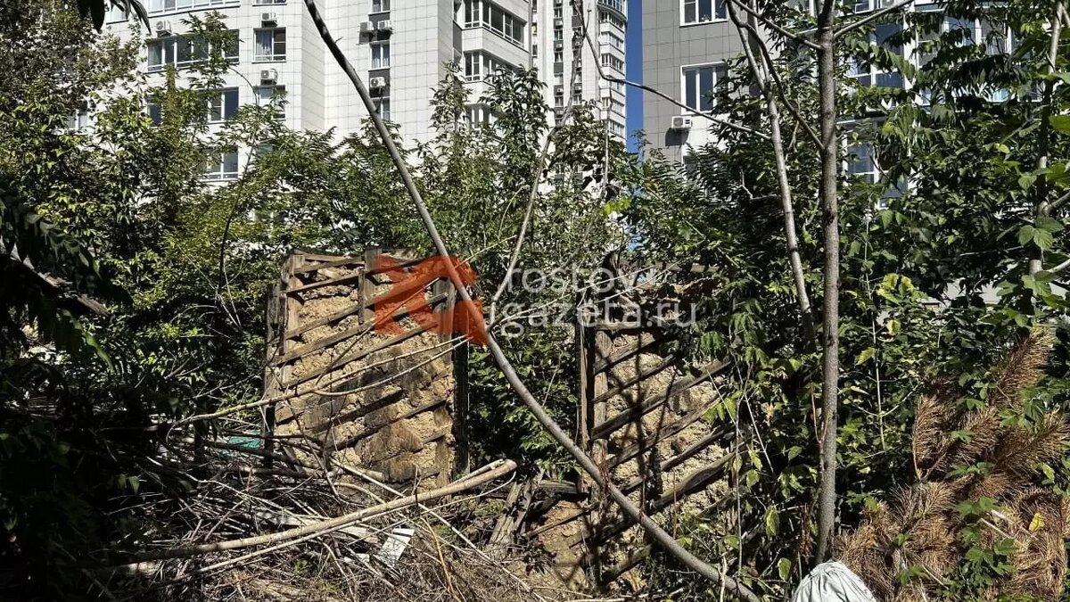     Источник: rostovgazeta.ru