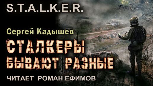 S.T.A.L.K.E.R. Сталкеры бывают разные (аудиокнига). ФАНТАСТИКА. Сергей Кадышев. Читает Роман Ефимов.