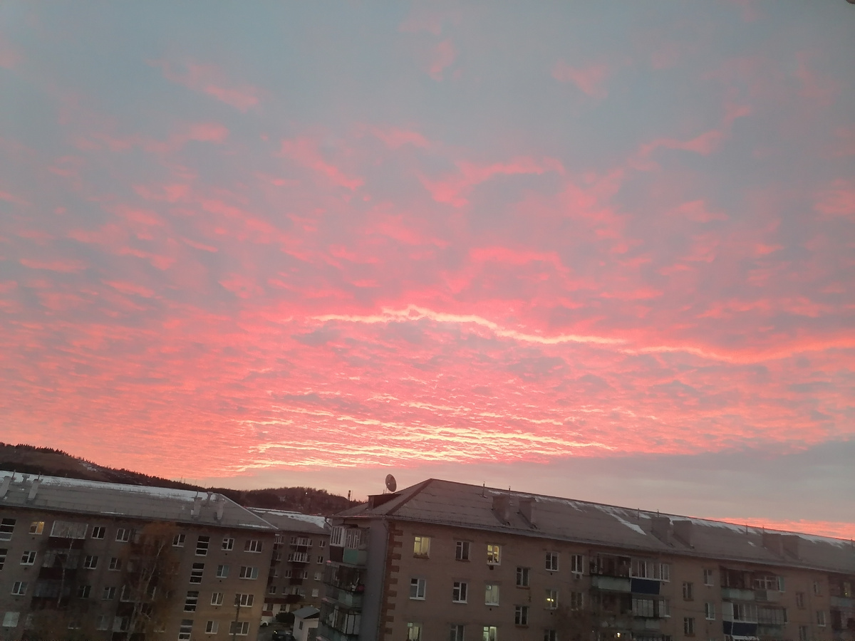 Личное фото автора 