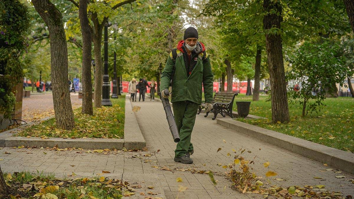    Фото: Наталья Феоктистова / Вечерняя Москва