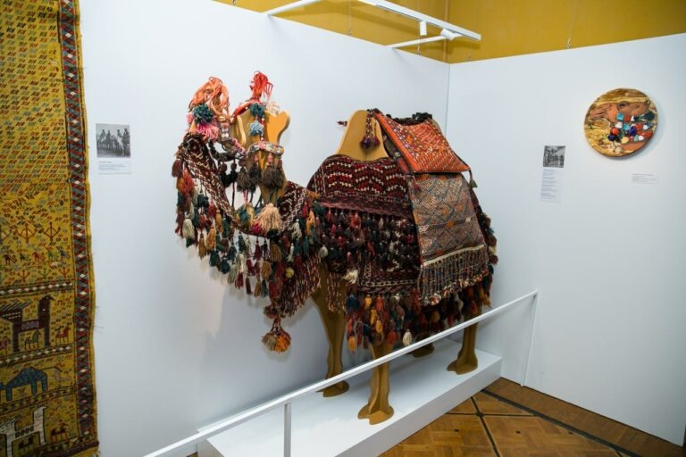    В оренбургском губернаторском музее открылась выставка «Караван с Востока» Андрей Севостьянов