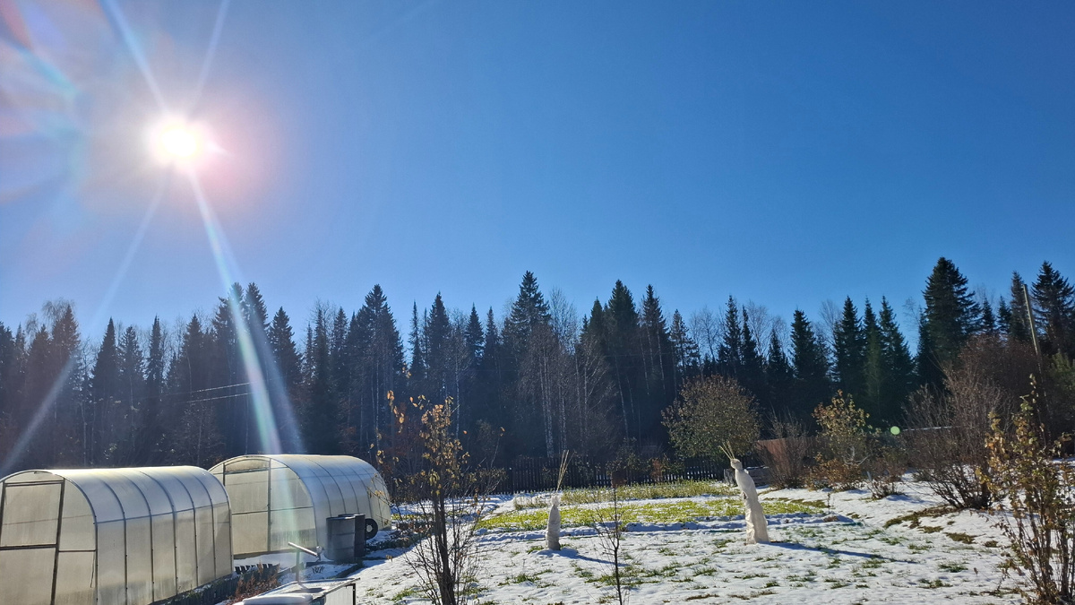 Вот такое солнце сегодня