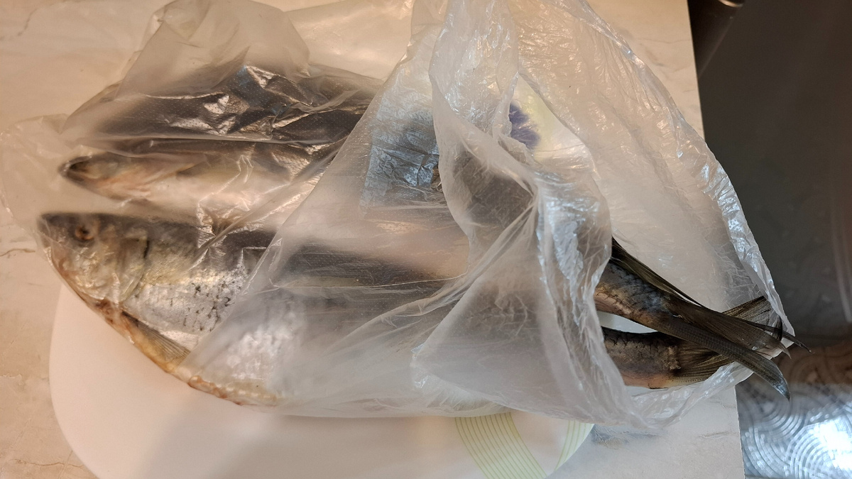 Рыба оказалась жирной, свежей и полной икры и молок. Я её разморозила в холодильнике и вечером засолила. Утром попробую.