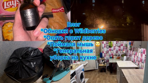 Влог . Обновки с Wildberries . Генеральная уборка на кухне . Опять горит дерево . Поймали мышь 😒