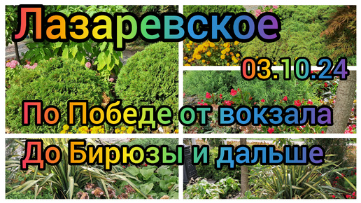 Лазаревское/Бархатный сезон/03.10.24/по Победе от вокзала до Бирюзы и дальше