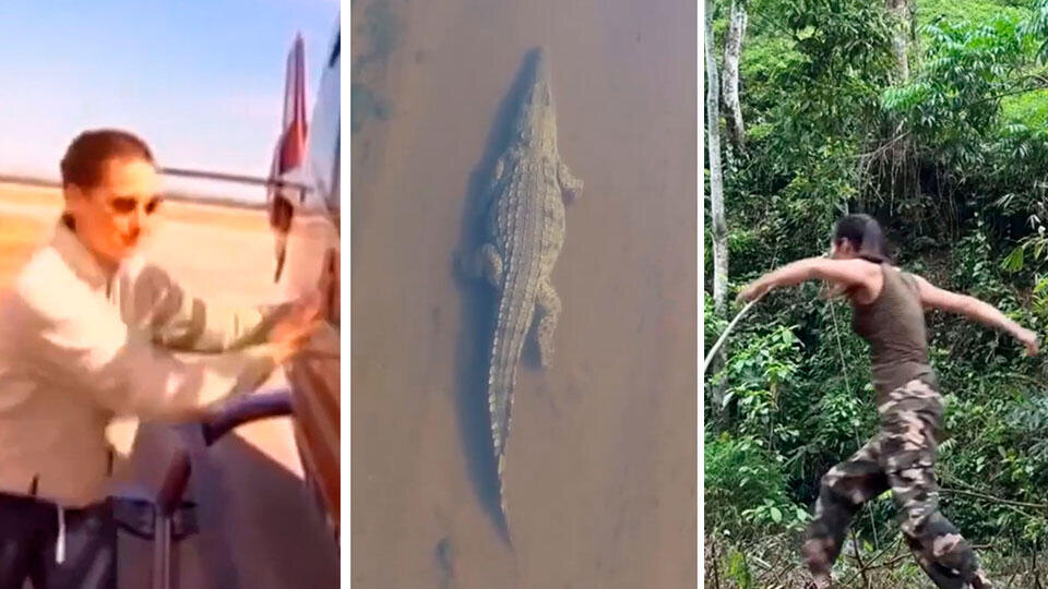 Фото: © Скриншот видео