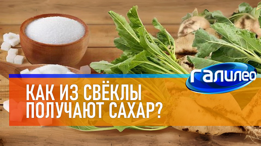 Галилео 🍬 Как из свёклы получают сахар?