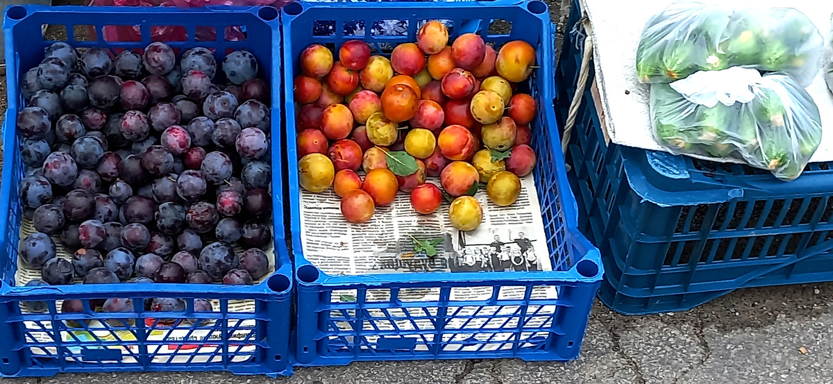 Чем торгуют бабки на улицах Донецка. Фото август-сентябрь-октябрь 2024