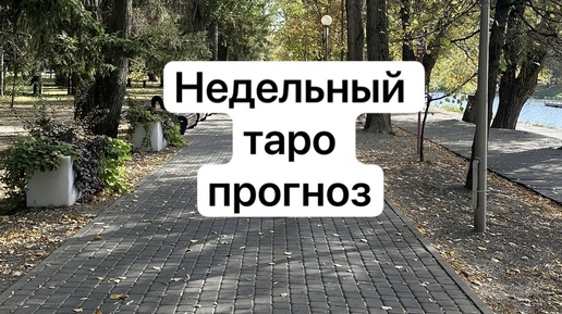 Недельный ТАРО прогноз🔥⭐️